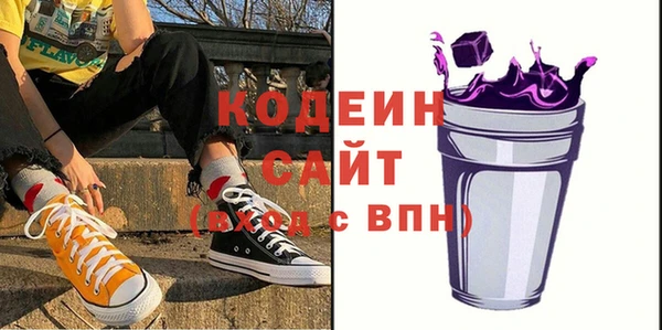 эйфоретик Арсеньев