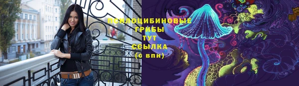 эйфоретик Арсеньев