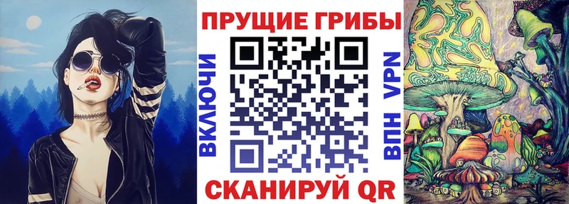 площадка состав  Бодайбо  Псилоцибиновые грибы мухоморы 